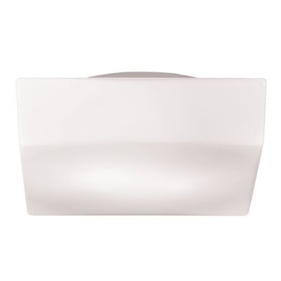 Amata Ceiling/Wall Light by Eurofase - Starlight Lighting USA and Canada